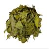 Matico Herbal Tea Value Pack (60g) (Piper aduncum L ) view 1