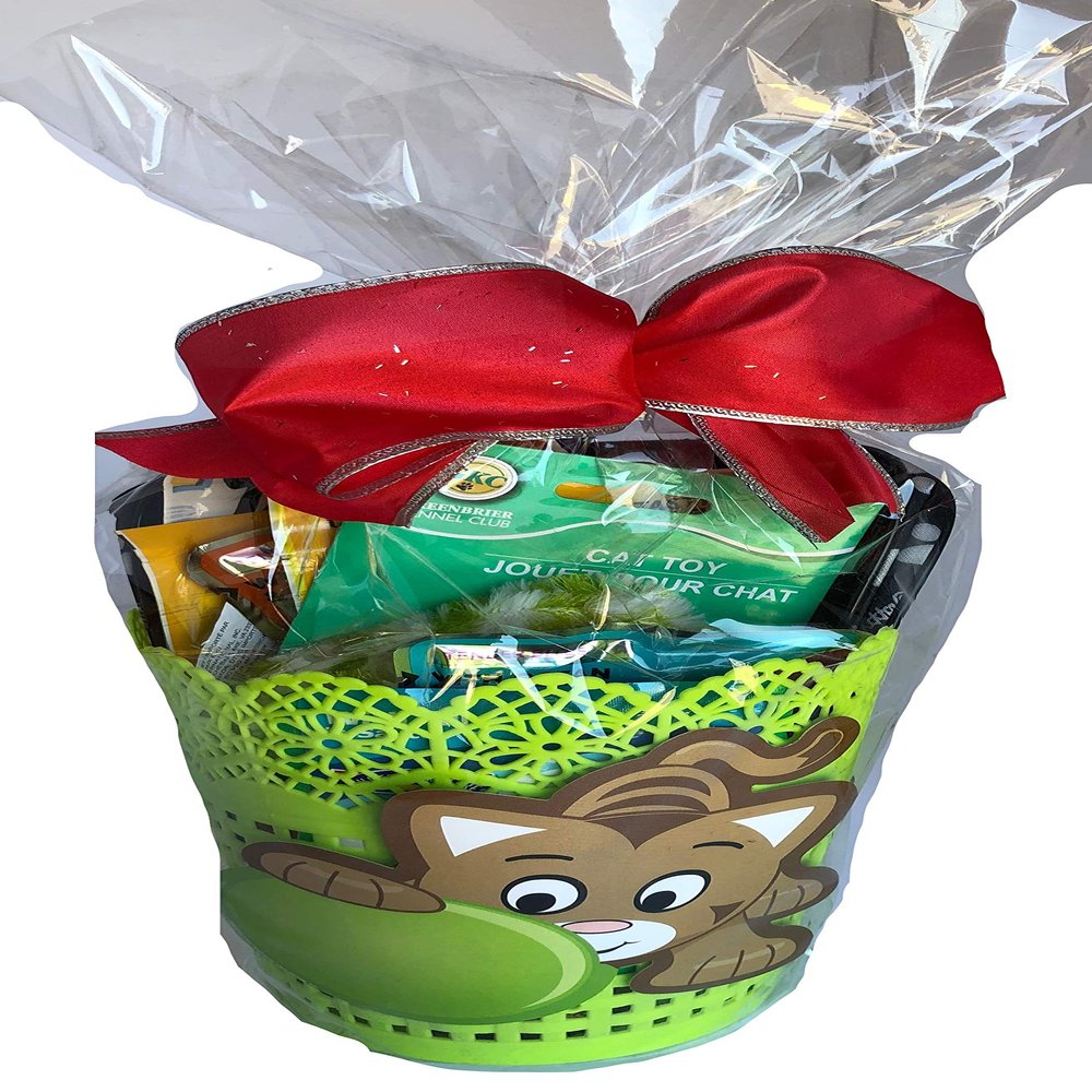 CAT Gift Basket Kitten Newborn Cat Gift with Food and Toys Great Gift Delivered Fast!