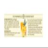 De Cecco Pasta, Egg Pappardelle, 8.8 oz (Pack of 4) view 3