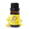 Silk Road Organic Helichrysum Italicum Essential Oil for Skin Care, Wrinkles, Scars, Bruises  10ml Undiluted Euro Dropper, USDA Certified Immortelle Oil - Always Pure, Always Organic view 1