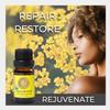 Silk Road Organic Helichrysum Italicum Essential Oil for Skin Care, Wrinkles, Scars, Bruises  10ml Undiluted Euro Dropper, USDA Certified Immortelle Oil - Always Pure, Always Organic view 3