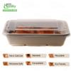 EcoQuality 29oz Compostable Eco Friendly Container Trays with Clear Lids [400 PACK] - Rectangular Oblong Tree Free Sugarcane Bagasse Meal Prep Bento Boxes Take Out Catering Microwave Deep Container view 2