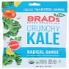 Brad's Plant Based Organic Radical Ranch with Probiotics Crunchy Kale 2 oz Bags - Pack of 12 view 1