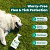 Cedarcide Original Bug Spray | Repel & Kill Fleas, Ticks, Mosquitoes, Mites, Ants & Chiggers | For use on People, Pets & Home | Natural Cedar Oil | Eco-Friendly | 8 Oz view 4
