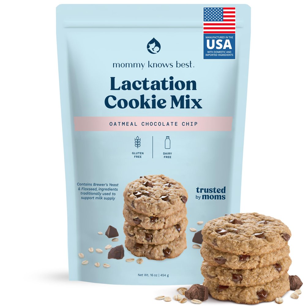 Lactation Cookies Mix - Gluten Free and Dairy Free Oatmeal Breastfeeding Cookie Supplement Support for Breast Milk Supply Increase (Chocolate Chip, 1 Pound)