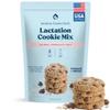 Lactation Cookies Mix - Gluten Free and Dairy Free Oatmeal Breastfeeding Cookie Supplement Support for Breast Milk Supply Increase (Chocolate Chip, 1 Pound) view 1