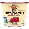 Expect MoreBrown Cow Cream Top Raspberry on the Bottom Whole Milk Yogurt 5.3 oz pack of 12 view 1