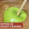TV's Deli & Diner Gourmet Jumbo Caramel Apple | Caramel, Candy Buttons & Milk Chocolate | Handmade & Freshly Prepared (Candy Buttons & Milk Chocolate) view 3