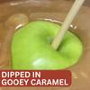TV's Deli & Diner Gourmet Jumbo Caramel Apple | Caramel, Toasted Pecans & Milk Chocolate | Handmade & Freshly Prepared (Pecan Milk Chocolate) view 3
