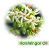 CRYSALIS Harshringar (Nyctanthes Arbor-Tristis) | 100% Pure & Natural Undiluted Carrier Oil | Cold Pressed Oil for Glowing Skin, Healthy Hair, and Nourished Face -100Ml/ 3.38 Fl Oz view 2
