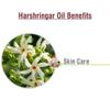 CRYSALIS Harshringar (Nyctanthes Arbor-Tristis) | 100% Pure & Natural Undiluted Carrier Oil | Cold Pressed Oil for Glowing Skin, Healthy Hair, and Nourished Face -100Ml/ 3.38 Fl Oz view 3