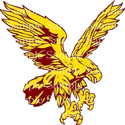 1/2 Sheet - Yellow and Maroon Eagle Mascot Birthday - D24326 - 2D Edible Cake/Cupcake Party Topper - D24326