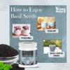 Basil Seeds  16 Oz/ 1 Lbs I Edible Basil Seeds, Sabja/Tukmaria/Falooda Seeds I Rich in Fiber I Act as Natural Body Coolant view 4