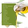 Ariston "The Very Best" Extra Virgin Olive Oil | Anti-Oxidant Rich, Cold Pressed, Premium Quality | Product of Greece (500ml) 16.9 fl oz, Select view 4