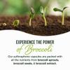 50MG Sulforaphane Supplement from Broccoli Sprouts | NRF2 Activation, Cellular Health & Immune Support | Glucoraphanin, Myrosinase & Antioxidants | Third-Party Tested | 60 Broccoli Seed Microbeadlets view 4