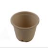 EcoQuality 250 Count 16oz Round Disposable Bowls with Lids Natural Sugarcane Bagasse Bamboo Fibers Sturdy Compostable Eco Friendly Environmental Paper Plastic Bowl Alternative Tree Free view 4