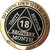18 Month AA Medallion Elegant Black Gold and Silver Plated Chip view 1