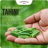 Organic Whole Sesame Tahini Paste - Bulk 6.6lb Bucket - Unhulled & Stone-Ground - Silky Smooth Texture in Hummus, Dips, Dressings - Unsalted, Nut-Free, Kosher, Paleo, Keto - Pepperwood Organics view 3