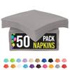 Party Solids Silver Napkins Disposable Everyday 50 Pcs 2 Ply Silver Cocktail Napkins Paper Everyday For Parties & Party Supplies view 1
