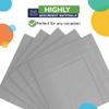 Party Solids Silver Napkins Disposable Everyday 50 Pcs 2 Ply Silver Cocktail Napkins Paper Everyday For Parties & Party Supplies view 2