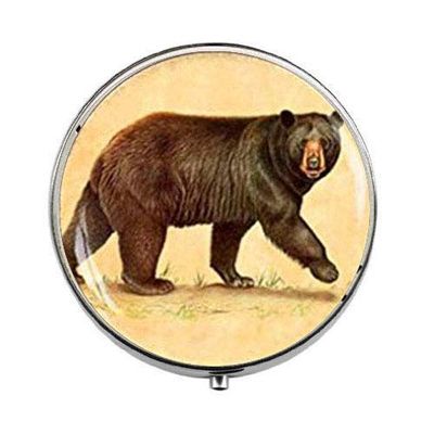 Bear Animal Charm - Animal Pill Box - Bear Pill Box - Glass Candy Box