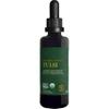 Global Healing Center - Organic Tulsi (Holy Basil Leaf Extract) Vegan Liquid Supplement Drops (Organic Basil) - Bioavailable Herb for Normal Stress Response, Natural Energy & Immune Support view 1
