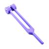 Precise Canada: Tuning Forks Purple C 128 Ent Physical Diagnostic Instruments view 1