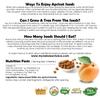 Apricot Seeds California Grown Bitter Raw 100% All Natural From Organic Farms 1 LB view 4