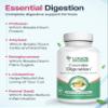 logos nutritionals - Essential Digestion 90 Veggie Caps - Digestive Enzymes to Improve Digestive and Gut Health and Relieve Digestive Issues - for Men and Women view 3