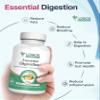 logos nutritionals - Essential Digestion 90 Veggie Caps - Digestive Enzymes to Improve Digestive and Gut Health and Relieve Digestive Issues - for Men and Women view 4
