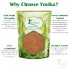 YUVIKA Vijaysar Powder - Pterocarpus Marsupium - Indian Kino Powder (800 Grams) view 3