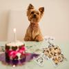 Maitys 100 Pcs Dog Paw Treat Bags Dog Cellophane Bags for Goodie Candy Bulk 8 x 4 Inch Party Favor Supplies(Black) view 4