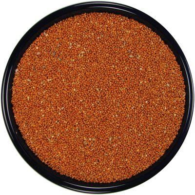 All Natural Red Proso Millet (20 lbs.)