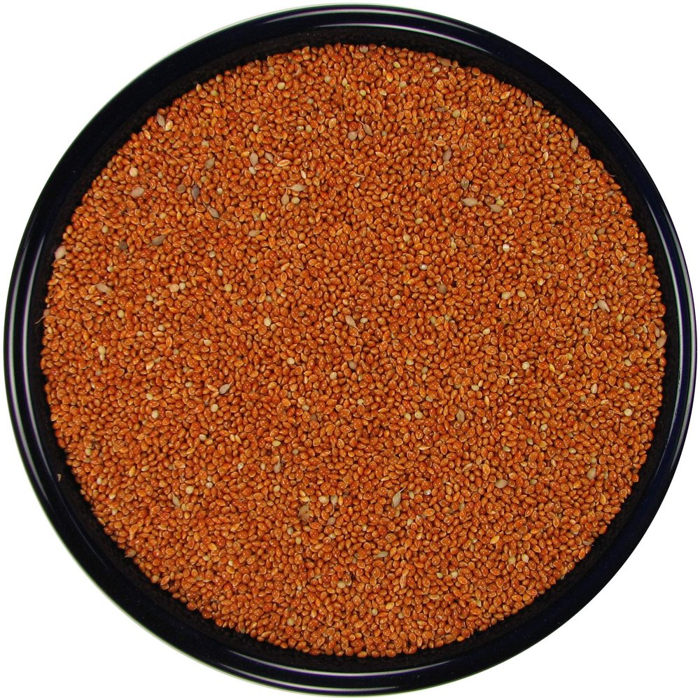 All Natural Red Proso Millet (20 lbs.)