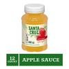 Santa Cruz Organic Apple Sauce, 23 Ounces (Pack of 12) view 2