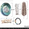 White Sage Smudging Kit Smudge Stick Gift Kit view 3
