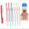 Collis Curve - Soft 3 Sided Toothbrush - Orthodontic Toothbrushes - Soft Bristle Toothbrush for Sensitive Gums, Bleeding Gums, Braces, Autistic, Adults and Children's Over 13 Years (Pack 12) view 1