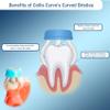 Collis Curve - Soft 3 Sided Toothbrush - Orthodontic Toothbrushes - Soft Bristle Toothbrush for Sensitive Gums, Bleeding Gums, Braces, Autistic, Adults and Children's Over 13 Years (Pack 12) view 3