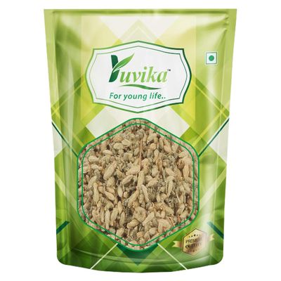 YUVIKA Brinjasif | Brinjasaf - Achillea Millefolium Linn (100 GM)