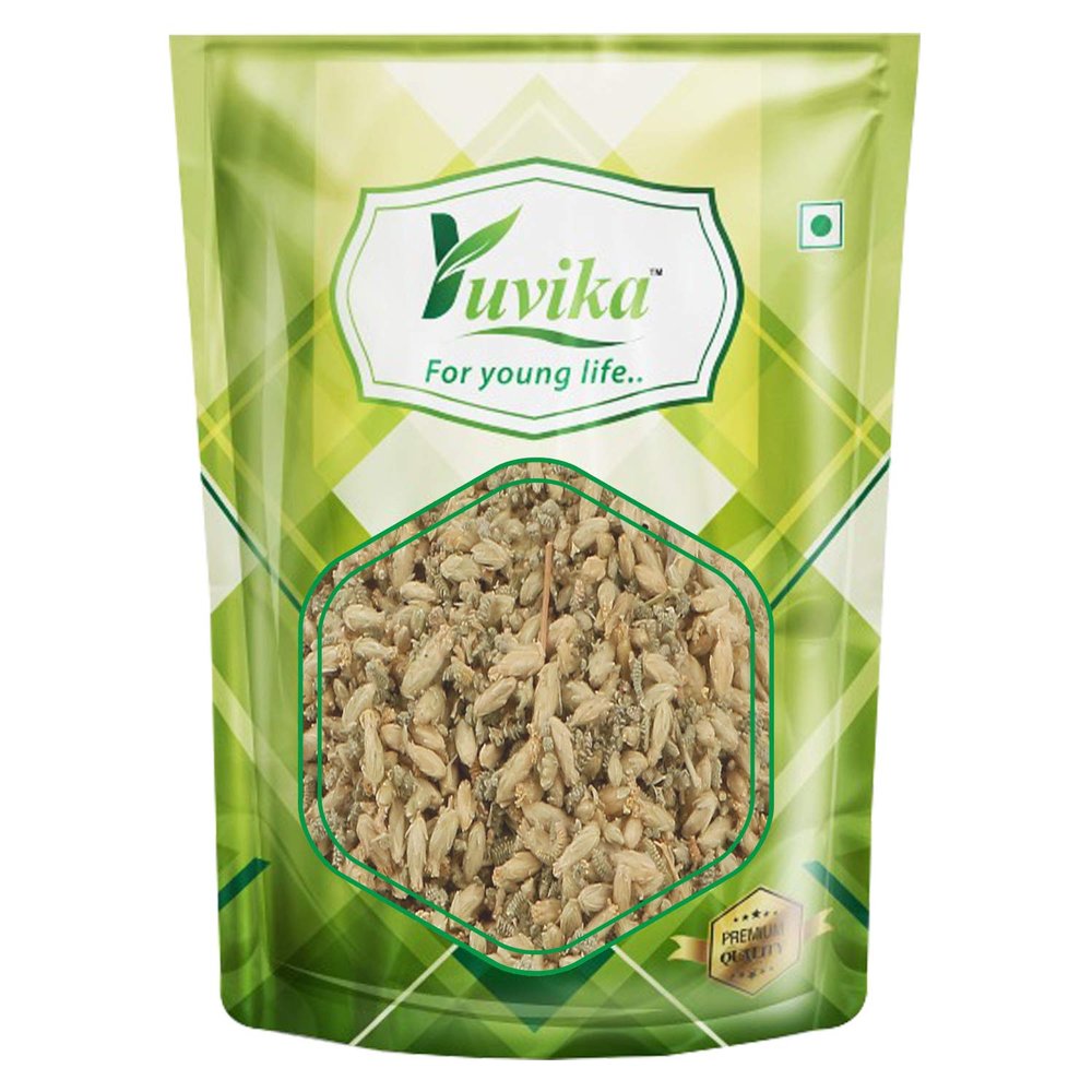 YUVIKA Brinjasif | Brinjasaf - Achillea Millefolium Linn (100 GM)