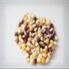 Amish Country Popcorn | 2-2 lb Bags | Rainbow Popcorn Kernels | Old Fashioned, Non-GMO and Gluten Free view 3