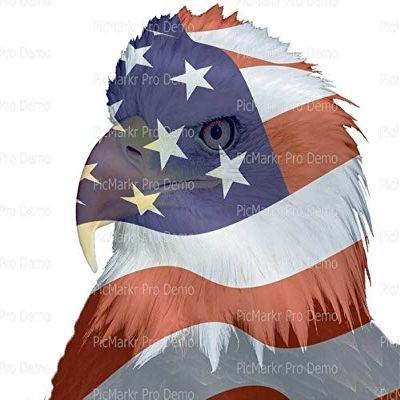 1/2 Sheet - Bald Eagle American Flag Birthday - D20898 - 2D Edible Cake/Cupcake Party Topper