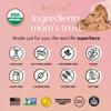 Boobie Body Superfood Protein Meal Replacement Shake, Coffee Caramel Flavor | 19g Protein | Safe For Pregnancy, Lactation, & Motherhood | Organic, Vegan, Zero Sugar, 10 Single Serve Packets (1.06 oz each) view 4