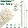 10 Inch Long Paper Drinking Straws, 0.24" Diameter - White, 100 counts view 3
