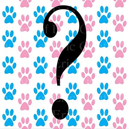 1/2 Sheet - She or He? Gender Reveal Baby Shower - D22096-2D Edible Cake/Cupcake Party Topper - D22096