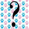 1/2 Sheet - She or He? Gender Reveal Baby Shower - D22096-2D Edible Cake/Cupcake Party Topper - D22096 view 1
