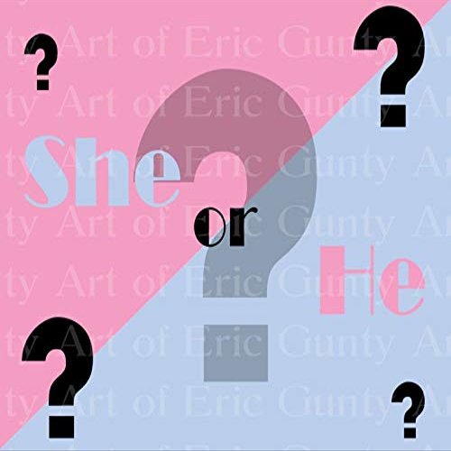 1/4 Sheet - She or He? Gender Party Baby Shower Birthday - D22086 - 2D Edible Cake/Cupcake Party Topper - D22086