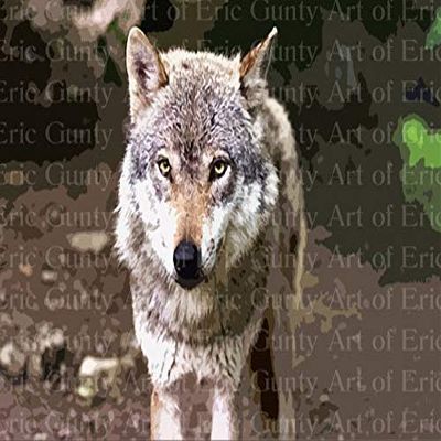 1/2 Sheet - Wild Wolf Birthday - D22003 - 2D Edible Cake/Cupcake Party Topper - D22003
