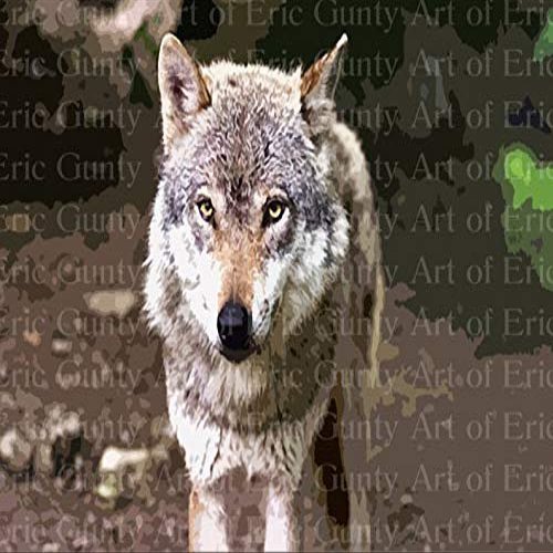 1/2 Sheet - Wild Wolf Birthday - D22003 - 2D Edible Cake/Cupcake Party Topper - D22003