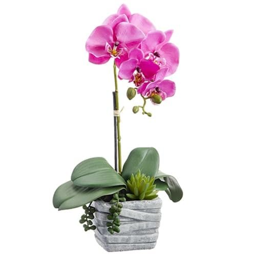 SilksAreForever 16" Silk Phalaenopsis Orchid & Succulent Flower Arrangement w/Cement Pot -Orchid (Pack of 2)
